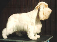 Nella